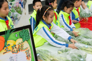 让孩子和蔬菜瓜果一同向阳生长！深圳这校的劳动教育登上《光明日报》